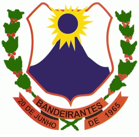 CAMARA MUNICIPAL DE BANDEIRANTES